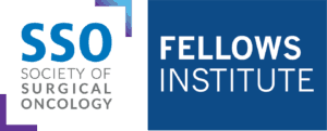 SSO Fellows Institute Color Logo