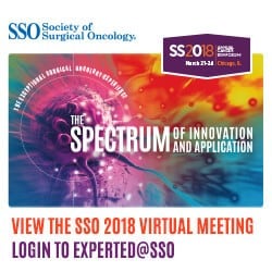 virtual-meeting-SSO2018
